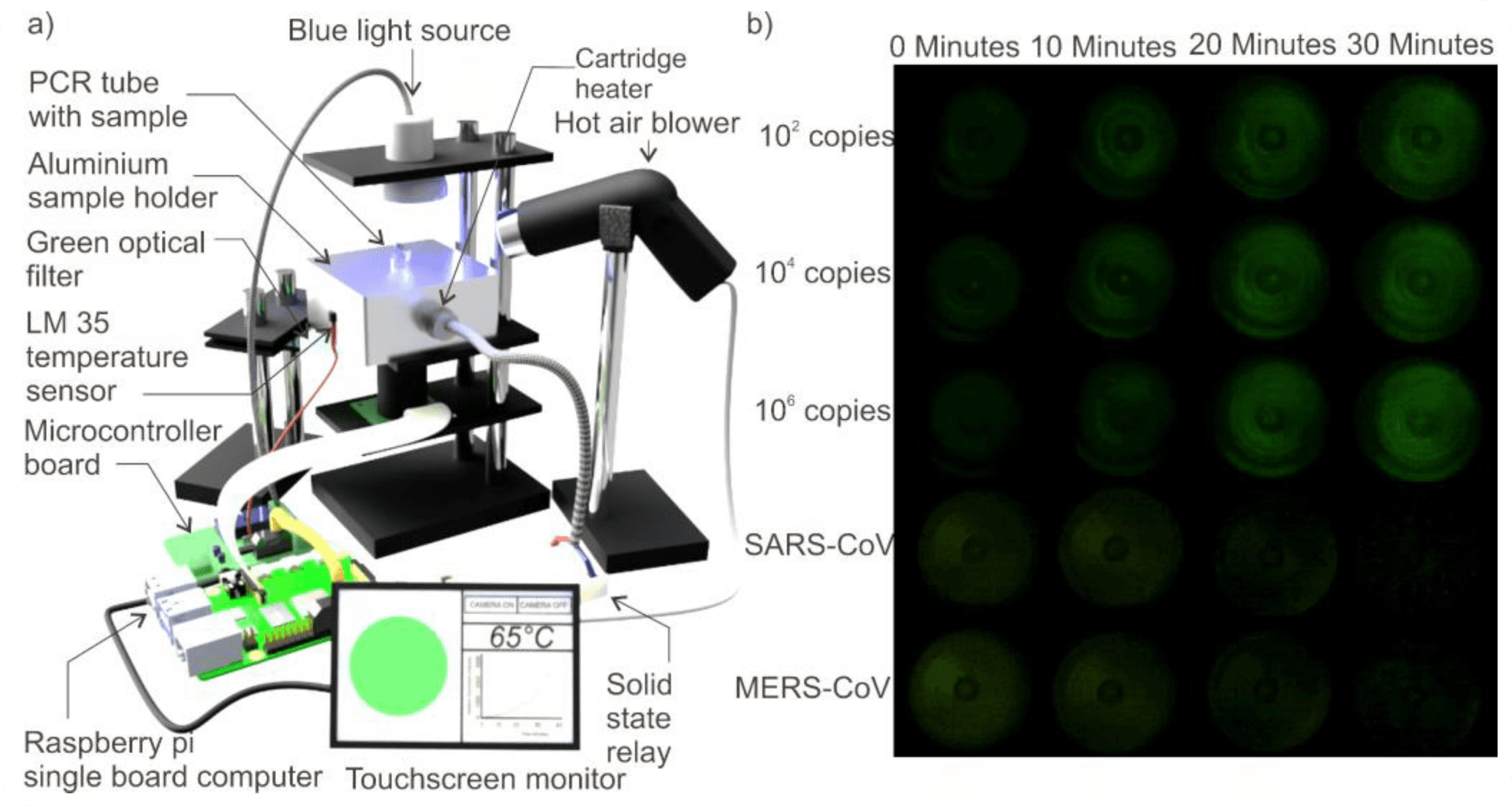 Rapid Diagnostics & Smart Biosensors in Microbial Detection
