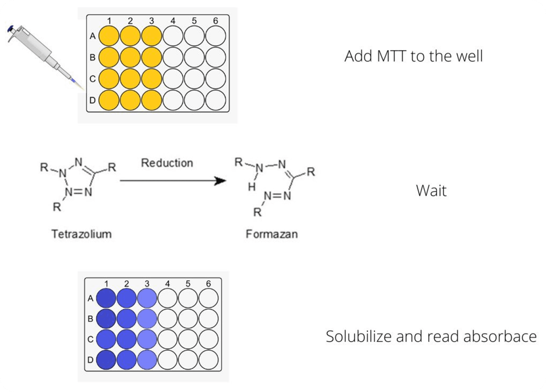 Toxicology & Safety Testing